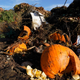 A pumpkin sits in front of other garden waste at an anaerobic processing facility in Woodland, California.